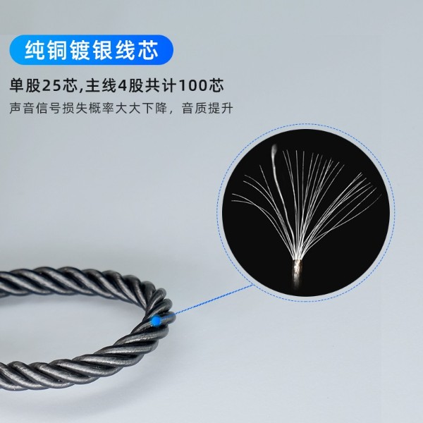 Type-C渡銀線 Type-C渡銀線